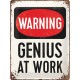 Plaque en métal 30 X 40 cm "Warning genius at work" - "Attention génie au travail"