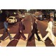 Plaque en métal 20 X 30 cm : Les Beatles