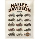 Plaque en métal 30 X 40 cm logo Harley-Davidson dans les flammes