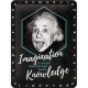 Plaque en métal 15 X 20 cm : Albert Einstein