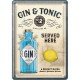 Plaque en métal 14 X 10 cm : "Gin & Tonic"