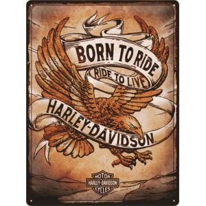 Plaque en métal 30 X 40 cm Harley-Davidson "Born to ride..."